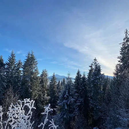 краєвид * Jablunyzja